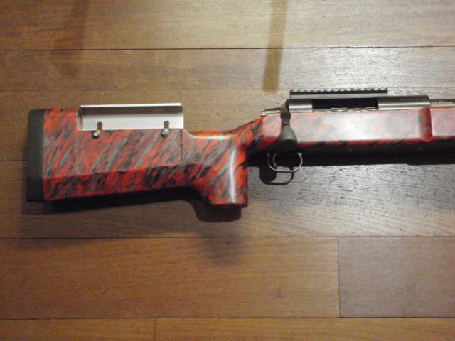 GS Precision ELR  vendre d'occasion sur 18bis.ch