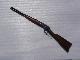 Winchester Repeating Arms Rossi Puma VENDU