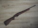 Ruger 10-22 Petite carabine semi-auto, crosse bois, vise...